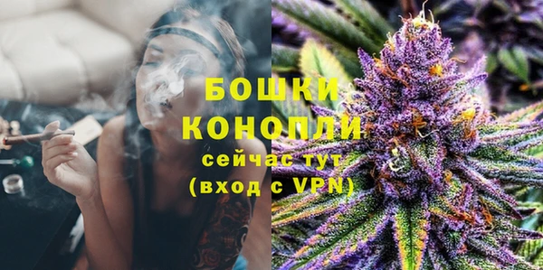 кокс Гусев