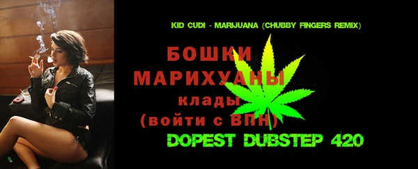 кокс Гусев