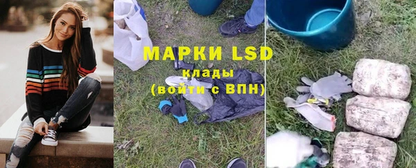 мяу мяу мука Беслан