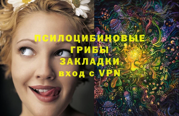 первитин Гусиноозёрск