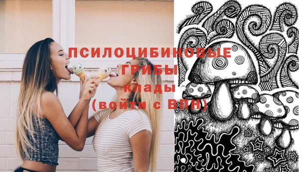 молекула духа Гусь-Хрустальный