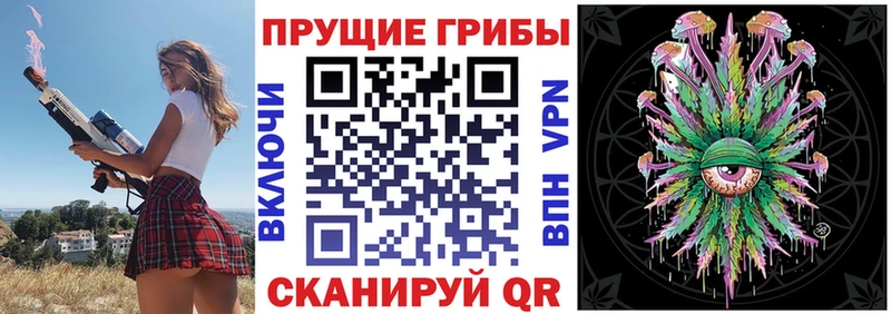 Псилоцибиновые грибы Cubensis где продают наркотики Ермолино